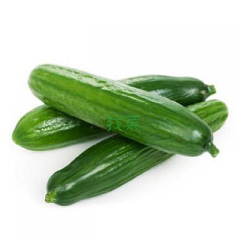 小黄瓜优二级