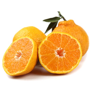 丑橘（不知火）